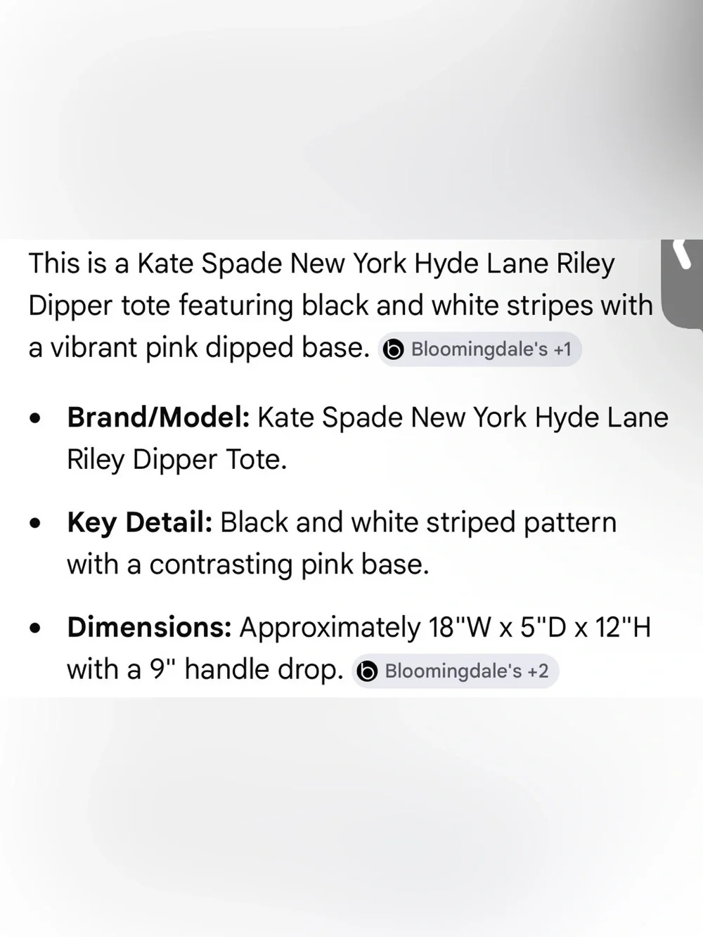 Kate Spade Hyde Lane Riley Dipper Tote VGUC